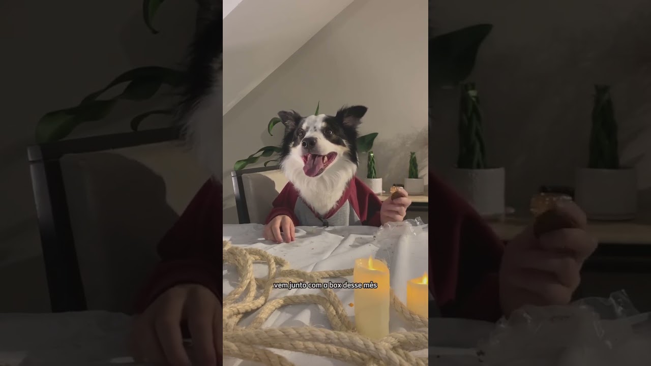 UNBOXING: BOX.Petiko