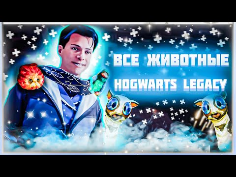 Гайд о фантастических тварях Hogwarts Legacy//как найти//для чего они нужны