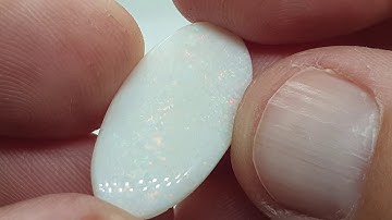 6.2ct Coober Pedy Opal Shell Fossil