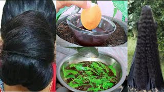 पानी में उबालकर 5 Rs की चीज बालों में लगा ले, बाल बेहद काले घने लंबे मुलायम होंगे🔥#haircare