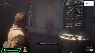 Red Dead Redemption 2 Storyline