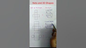 Nets and 3D shapes (part 1)🐼🐯 Nets of 3D shapes l cube, cuboid, cylinder #nets #maths #shorts #viral