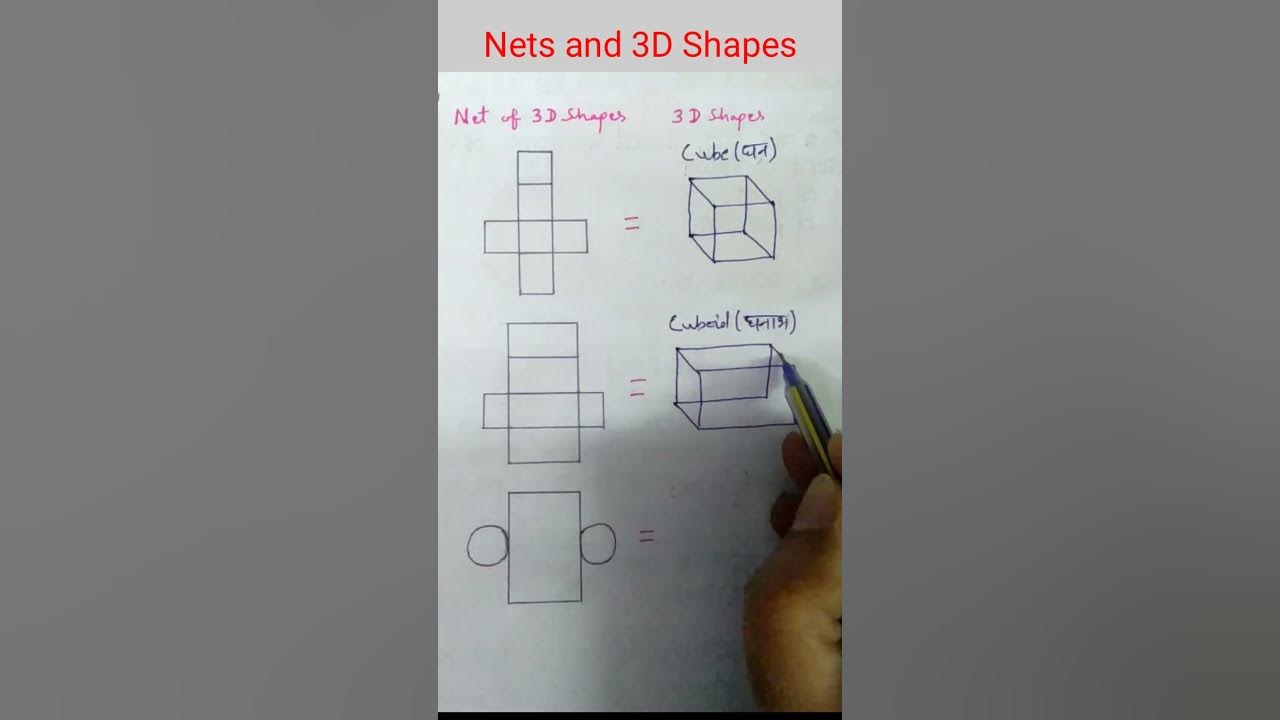 Nets and 3D shapes (part 1)🐼🐯 Nets of 3D shapes l cube, cuboid, cylinder nets maths shorts 