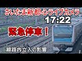 【さいたま新都心ライブカメラ】カメラの前で緊急停車！　線路内立ち入りの影響で