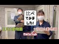 五月山動物園&茶臼山動物園 〜ウォンバット比べてみました〜
