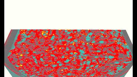 visualisation of MSC cells inside TCP scaffold in a perfusion bioreactor