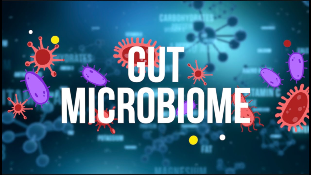 What Is The Gut Microbiome? - YouTube
