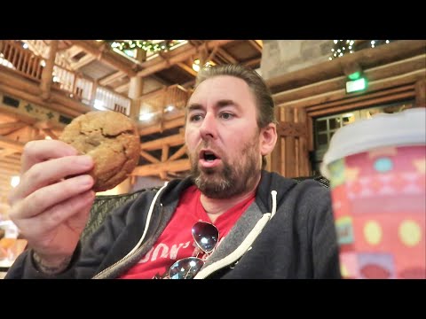 Magical Night At Disney World Resorts Christmas Tree Tour - Monorail Holiday Loop & Wilderness Lodge