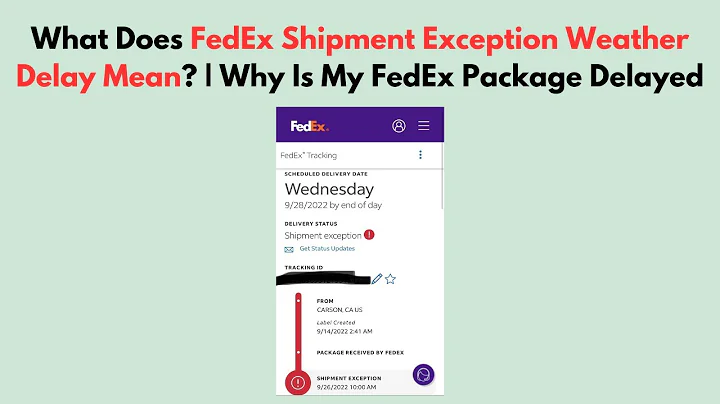 What Does FedEx Shipment Exception Weather Delay Mean? | Why Is My FedEx Package Delayed