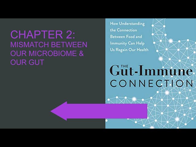 Chapter 2: The Gut Immune Connection - Mismatch Between Our Microbiome & Our Gut