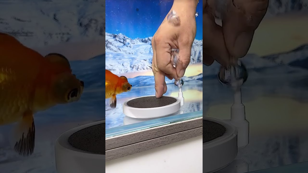 Mini Aquarium Oxygen Pump Product Link In Description 