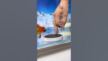 Mini Aquarium Oxygen Pump Ⓜ️Product Link in DescriptionⓂ️