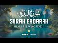 Surah Al-Baqarah (سورة البقرة) | Ultimate Relaxing Quran for Stress, Anxiety &amp; Healing #baqarah