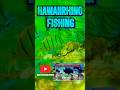 MANINI-GOOD EATS BUT…🎣🤤😱#fishinghawaii #fishing #fishingtechniques