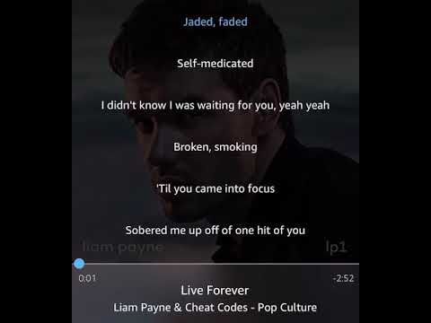 LIAM PAYNE & CHEAT CODES live forever with lyrics