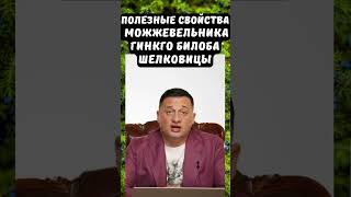 Полезные свойства можжевельника, гинкго билоба, шелковицы: продление жизни