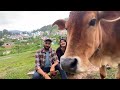 Thalisain Bazar || Uttarakhand Story || Negi & Family