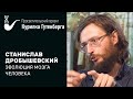 Эволюция мозга человека – Станислав Дробышевский