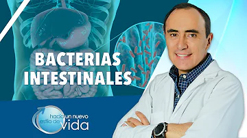 ¿Cómo saber si tiene demasiadas bacterias intestinales?