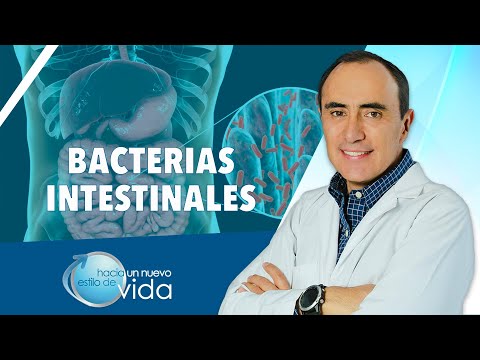 BACTERIAS INTESTINALES - HACIA UN NUEVO ESTILO DE VIDA