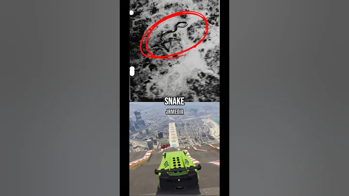 Giant Snake Found In The Congo🤯 #joerogan