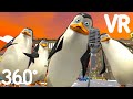 Los Pingüinos Chipi Chipi Chapa Chapa | 360 VR Funny Animation