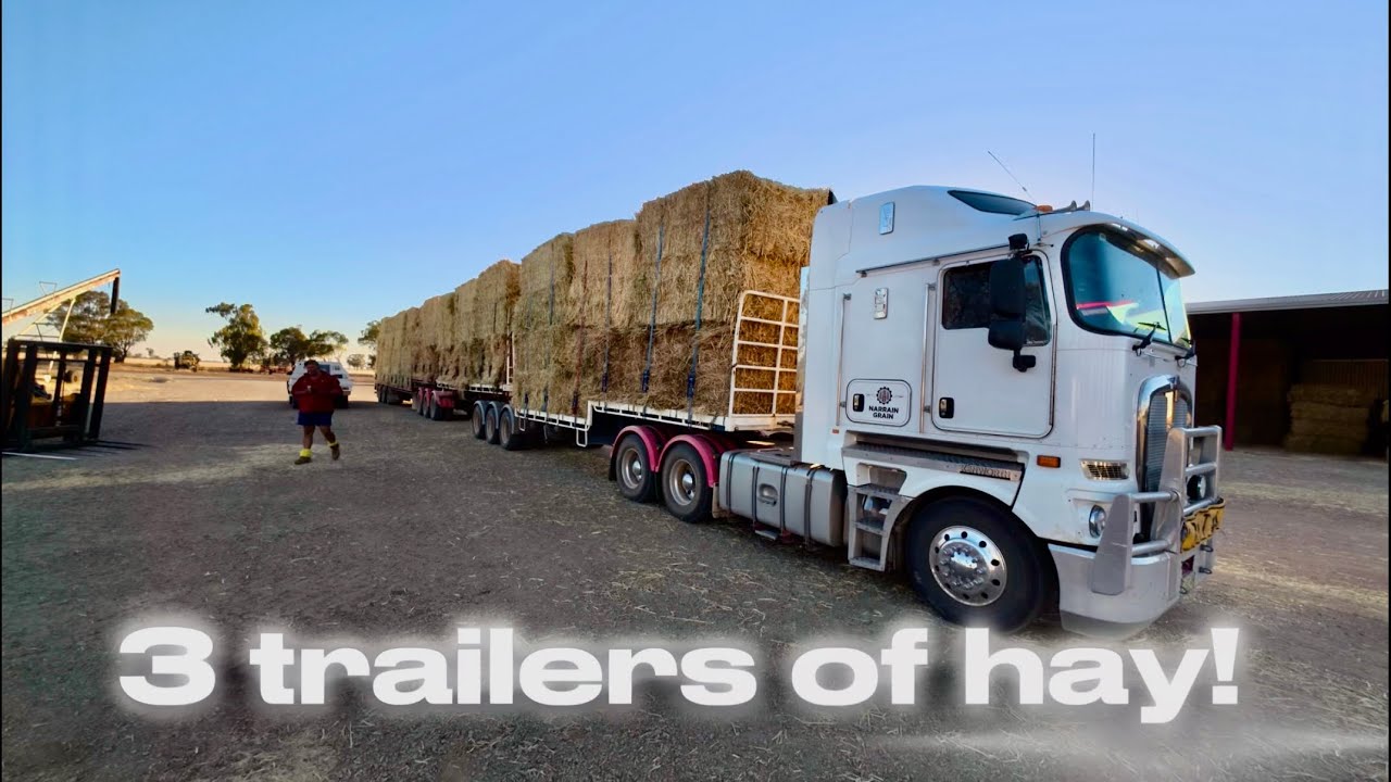 Copy in the Hay Stack!