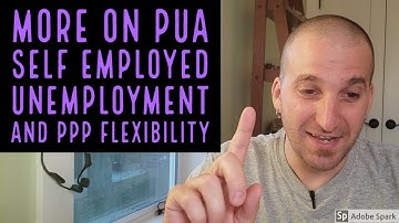 PUA Self Employed Unemployment - PPP Flexibility Act - and more