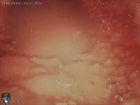 R240419 Seneca Ridge Middle School Part 11