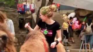 Funny Moment  Funny Fails Funny Pranks  Funny S Avril Lavigne