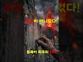 2천 년 전 고대 로마판 SNS?! 폼페이 벽에 남겨진 소름 돋는 낙서들#shorts