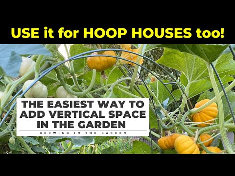 EASY (u0026 CHEAP!) way to ADD VERTICAL GARDENING SPACE: Works for HOOP HOUSES too!
