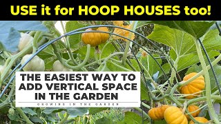 EASY (& CHEAP!) way to ADD VERTICAL GARDENING SPACE: Works for HOOP HOUSES too!
