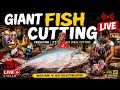 🔴 LIVE Giant Fish Cutting | Fresh Fish Market Today 🐟🔪