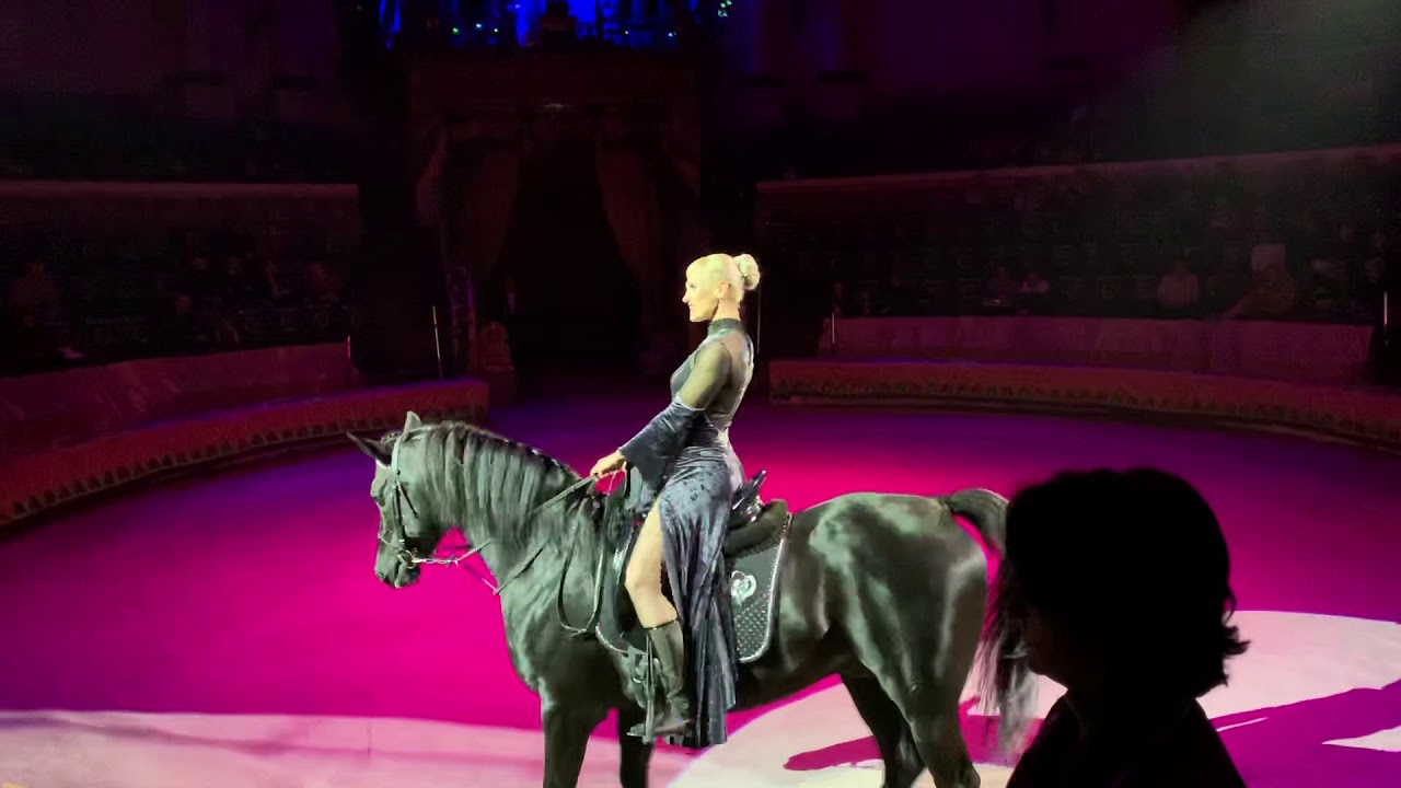 Вера Мещанова ( высшая школа верховой езды) - YouTube