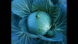vegetables2