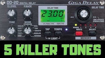 5 Killer Tones - BOSS DD20