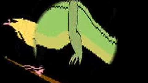 experimental animations