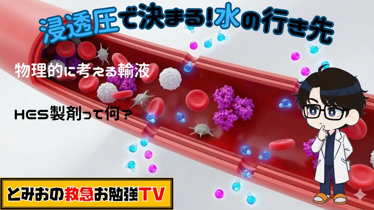 浸透圧で決まる！水の行き先。物理的に考える輸液。HES製剤って何？
