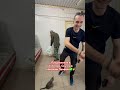 Как Иваныч Скумбрию покупал / ГАРДЕЙ И ИВАНЫЧ #волгоград #телеграм #рек #топ #тренды #прикол