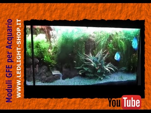 Plafoniere Hqi Per Acquario Marino : Acquario led acquariofilia marino dolce luce lunare plafoniera