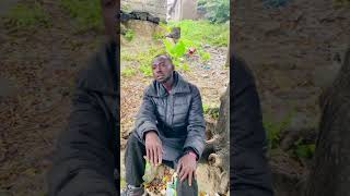 Nisikate Gogo