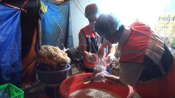 (VTC14)_TPHCM: Phát hiện 2 tấn bắp chuối bào ngâm hóa chất