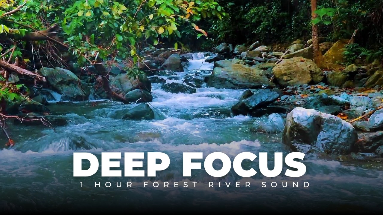 1 Hour forest River Sound for Study and Deep Focus (No Music)