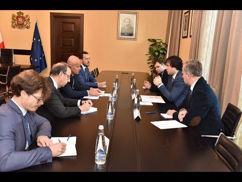 ირაკლი კობახიძის შეხვედრა სამხრეთ კავკასიის საკითხებში ეუთო-ს თავმჯდომარეობის წარმომადგენელთან