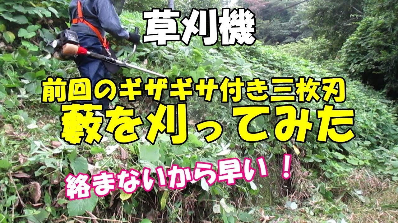 草刈機 前回のギザギザ付き3枚刃で藪を刈ってみた Youtube