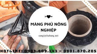 Màng phủ nông nghiệp 2 mặt bạc đen giá rẻ tại TPHCM