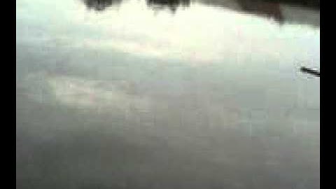 cau ca tra phần 1 - thegioicauca.com