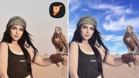 Pixaloop (Motionleap)Photo Animation Editing |Sky Change In One Click |Export Video Problem Fix.