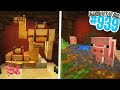 NUOVA ZONA FARM 1.20 - Minecraft ITA SURVIVAL #939